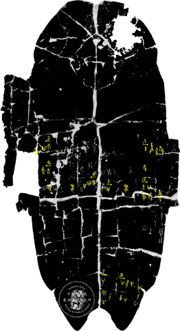 Inscribed Plastron Ping 0086