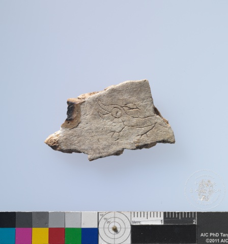 Inscribed Animal Bone Fragment Chia 2367