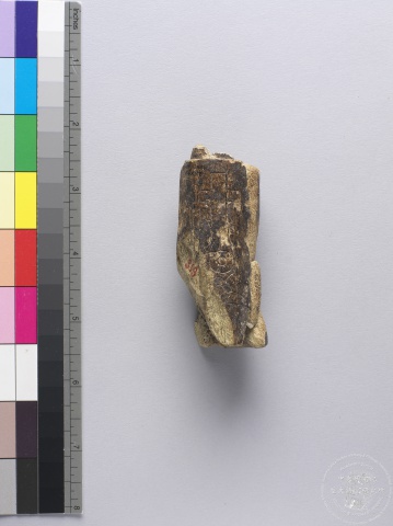 Antler Object Chia 3942