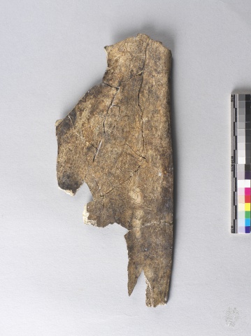Inscribed Animal Bone Chia 2422