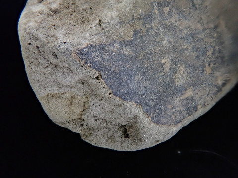 Adhesion Agent of Clay Molds