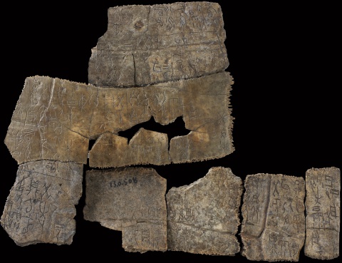 Inscribed Carapace Ｉ 0163+0012+0303+0478+0397+0428