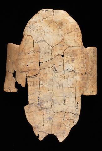Inscribed Plastron Ping 0063