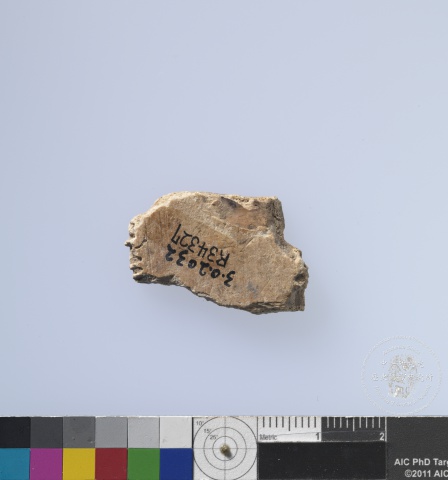 Inscribed Plastron Fragment Chia 2224