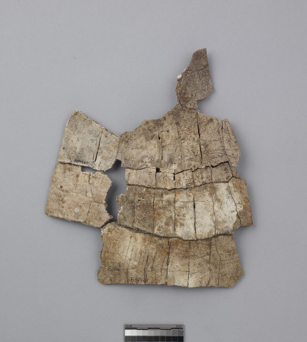 Tortoise Carapace Fragments  Yi Bian 4817+5061+5520+5804+6087+R60751