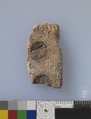​​​​Inscribed Plastron Fragment Chia 0984