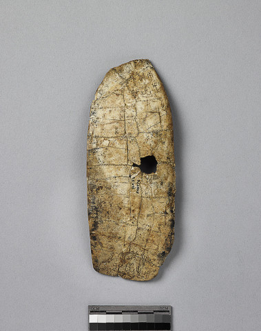Reshaped Tortoise Carapace Yi Bian 5271