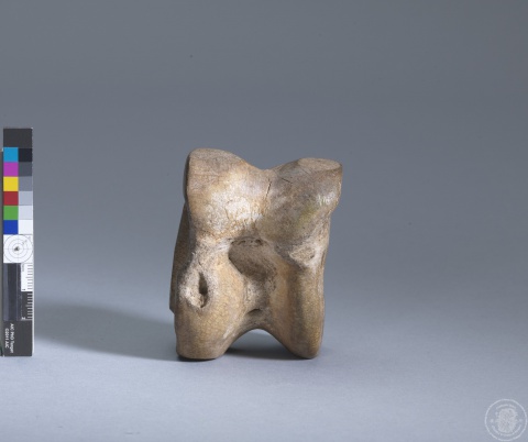 Inscribed Bovid Talus I 8688