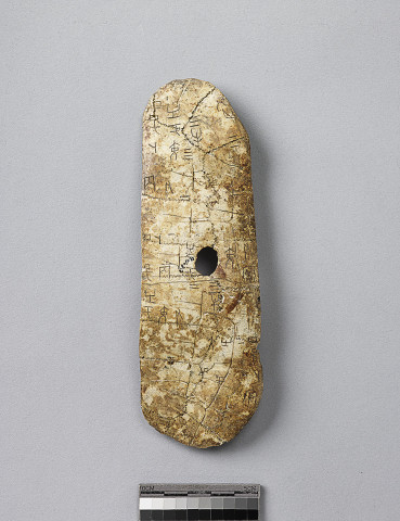 Reshaped Tortoise Carapace  Yi Bian 4682 