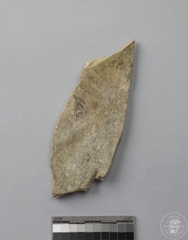 Inscribed Animal Bone Fragment Chia 2624