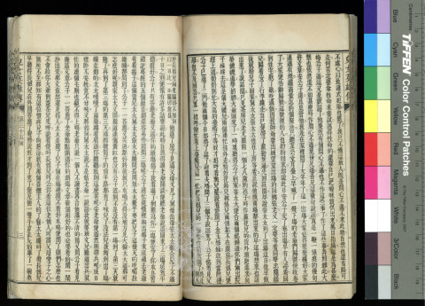 Illustrated Commentary on The Story of Heroic Lovers