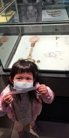 V-3 Mission Ox: Find the Ox in the Museum