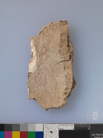 Inscribed Animal Bone Fragment Chia 2928