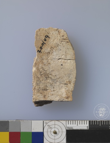 ​​​​Inscribed Plastron Fragment Chia 0984