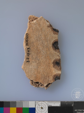 Inscribed Animal Bone Fragment Chia 2928