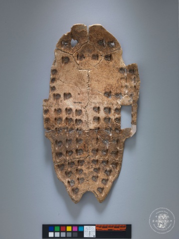 Inscribed Plastron Ping 0086