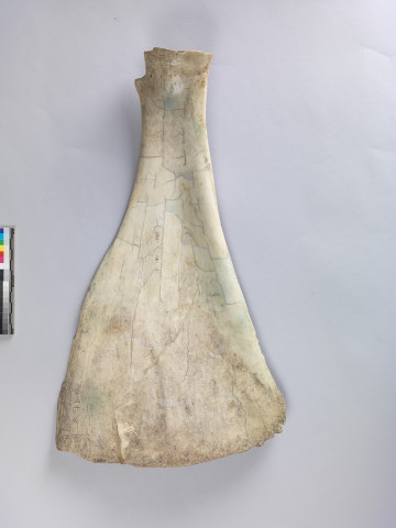 Ox Scapula for Recording Important Events  Jia Bian 3333+3361