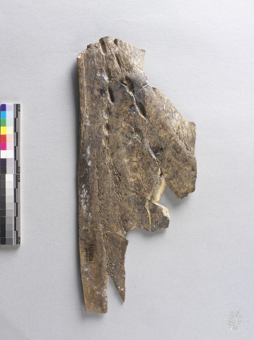 Inscribed Animal Bone Chia 2422