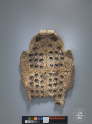 Inscribed Plastron I 4603