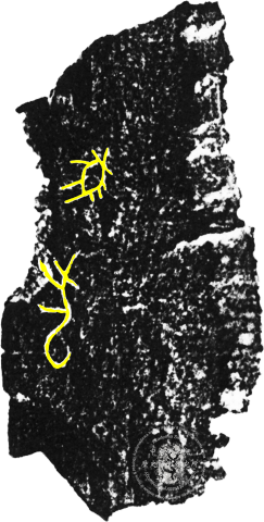 Inscribed Animal Bone Fragment Chia 2928