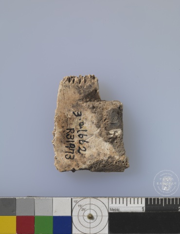 Inscribed Plastron Fragment Chia 1961