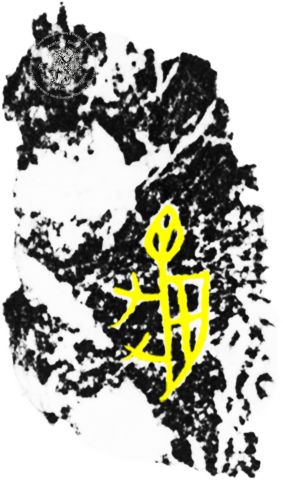 ​​​​Inscribed Plastron Fragment Chia 0984