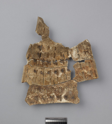 Tortoise Carapace Fragments  Yi Bian 4817+5061+5520+5804+6087+R60751