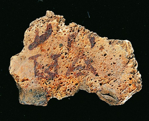 Inscribed Plastron Fragment I 0566