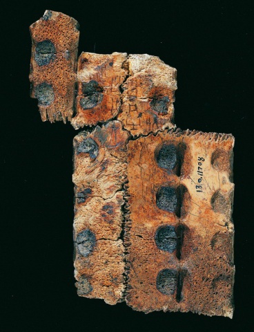 Inscribed Plastron I 5167