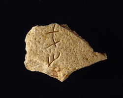 Inscribed Human Skull Chia 3739