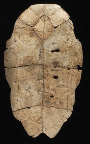 Inscribed Plastron Ping 0368