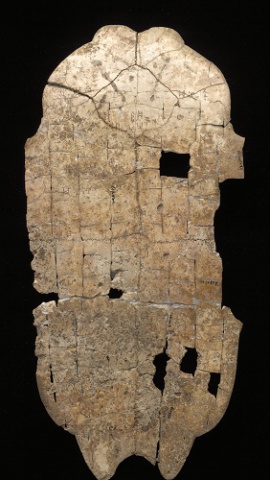 Inscribed Plastron Ping 0342