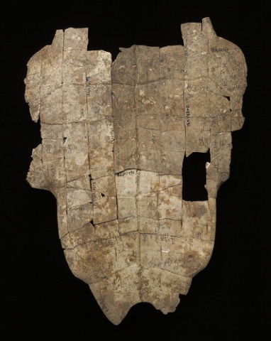 Inscribed Plastron Ping 0264