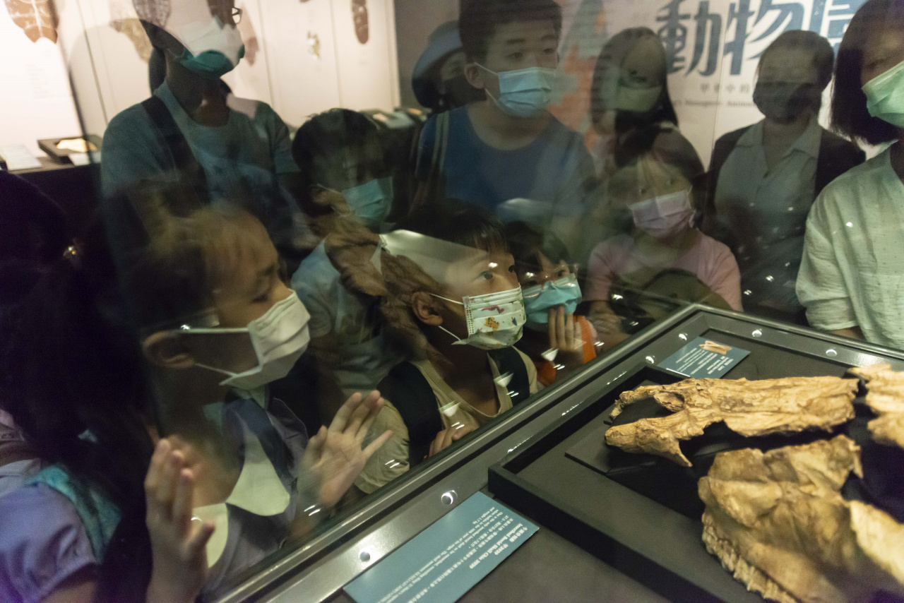 文物館遊樂園（7/19、8/23）甲骨文這樣玩