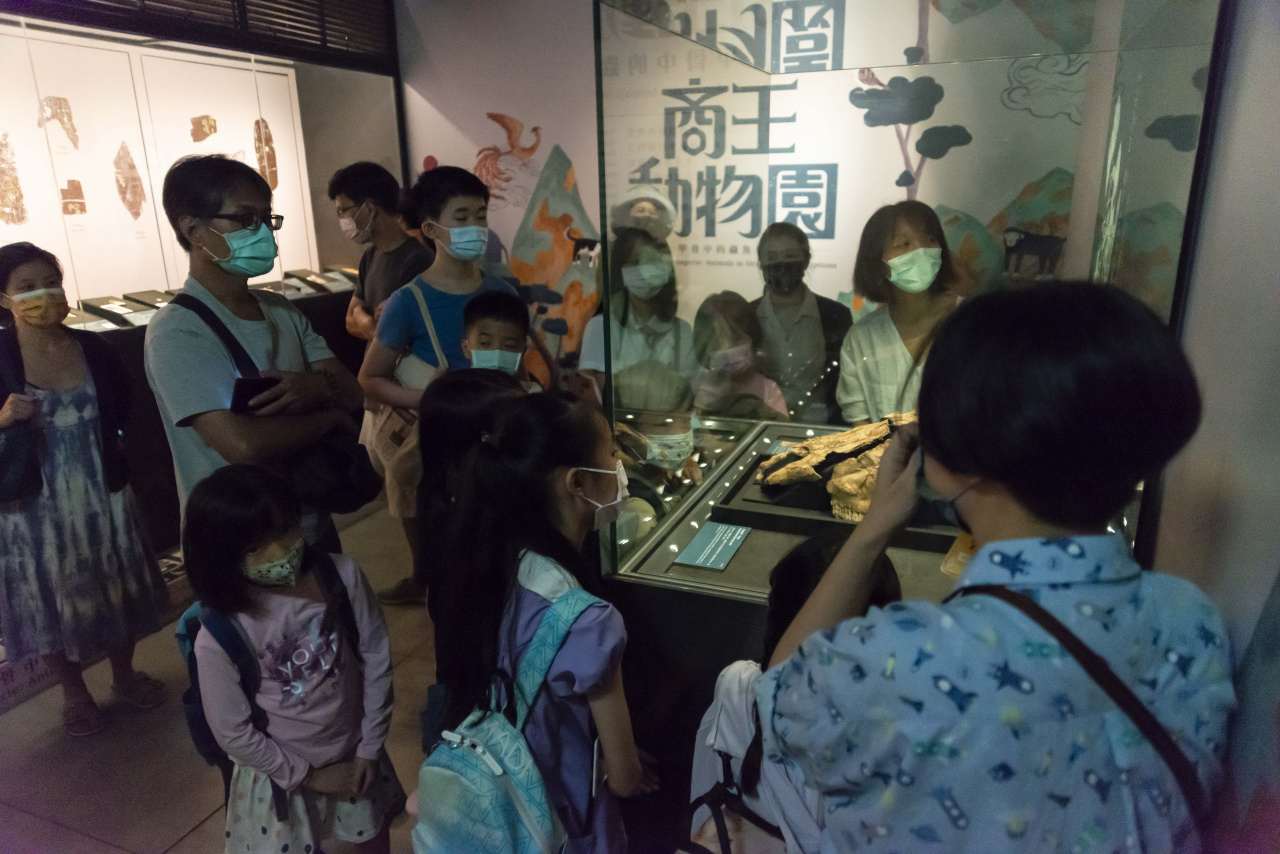 文物館遊樂園（7/19、8/23）甲骨文這樣玩