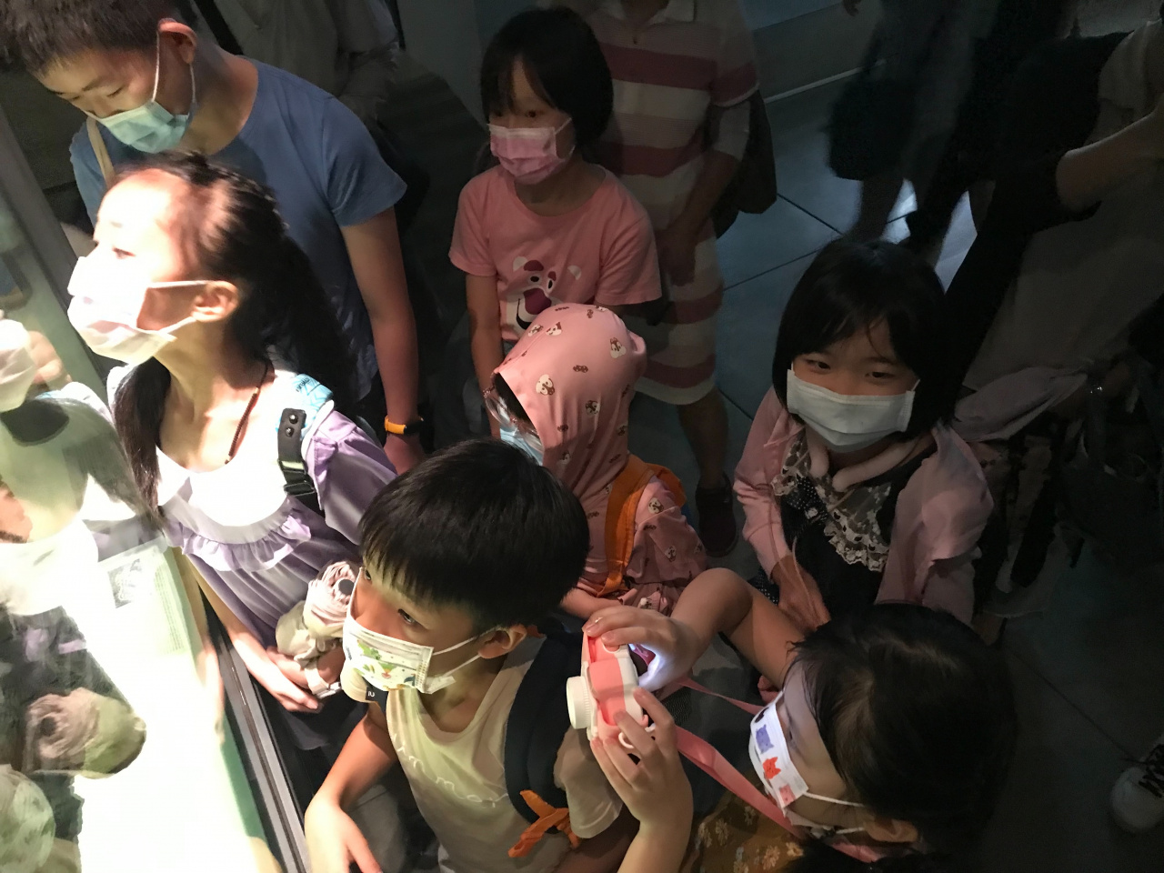 文物館遊樂園（7/19、8/23）甲骨文這樣玩