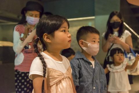 Mysteries between Strokes - Activities for the 2025 518 International Museum Day