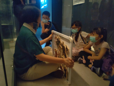 Lend a Han-d with Storytelling (5/20) - MIHP Activities for the 2023 518 International Museum Day