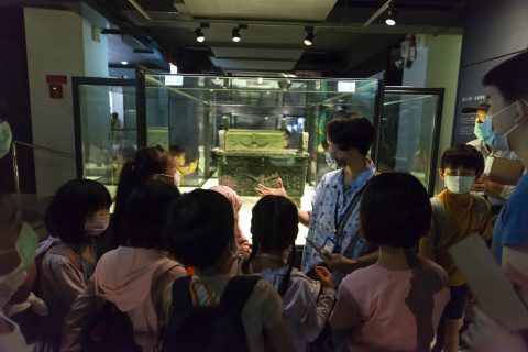 文物館遊樂園（7/19、8/23）甲骨文這樣玩