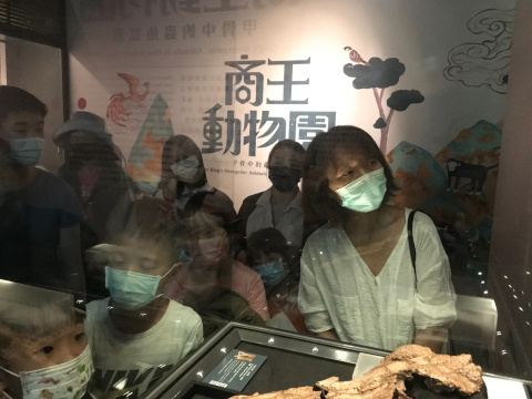 文物館遊樂園（7/19、8/23）甲骨文這樣玩