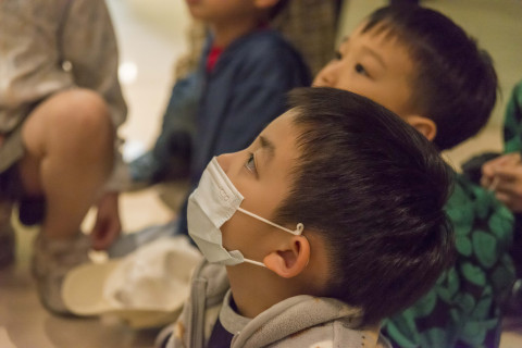 Mysteries between Strokes - Activities for the 2025 518 International Museum Day
