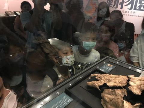 文物館遊樂園（7/19、8/23）甲骨文這樣玩