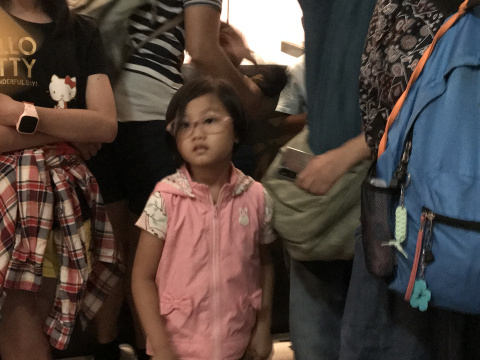 文物館遊樂園（7/19、8/23）甲骨文這樣玩
