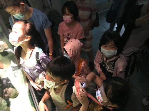 文物館遊樂園（7/19、8/23）甲骨文這樣玩
