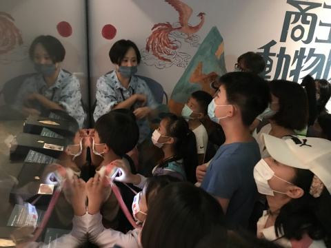 文物館遊樂園（7/19、8/23）甲骨文這樣玩