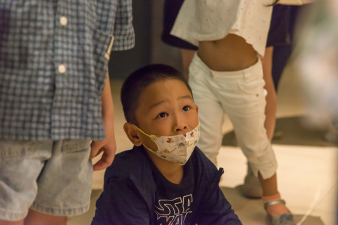 Mysteries between Strokes - Activities for the 2025 518 International Museum Day