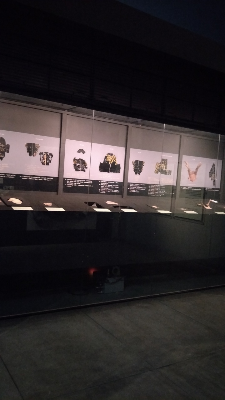 Forecast Through Divination - A Special Exhibition on the use of Oracle Bones for Weather Prediction