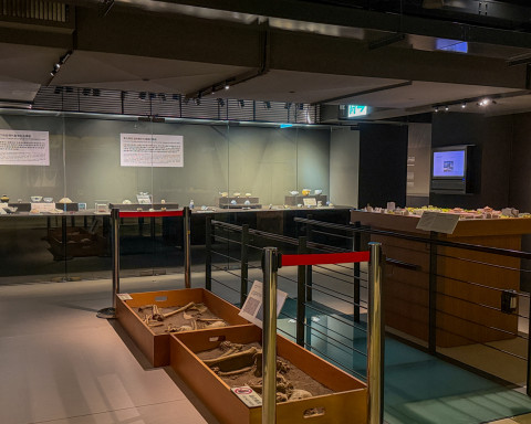 Taiwan Archaeology
