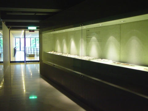 The Old Stone Age of Prehistoric Europe