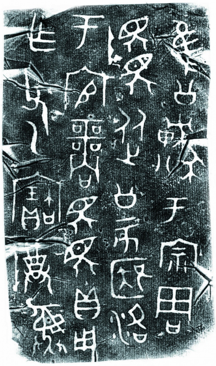 陸（父乙）尊